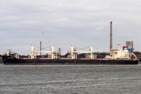 SEA FALCON in IJmuiden, 26 okt 2019