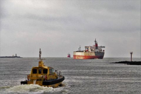 Pieren IJmuiden 05-11-19 in IJmuiden, 5 nov 2019