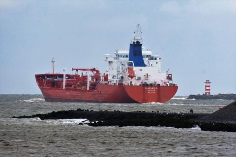 GIANCARLO D in IJmuiden, 13 nov 2019