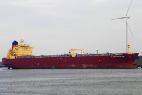 FLAGSHIP VIOLET in IJmuiden, 26 nov 2019