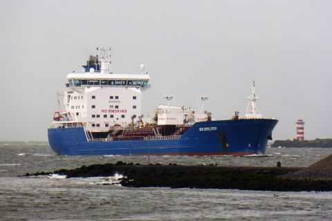 BRO DEVELOPER in IJmuiden, 28 nov 2019