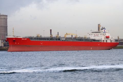 GALLOP in IJmuiden, 11 dec 2019