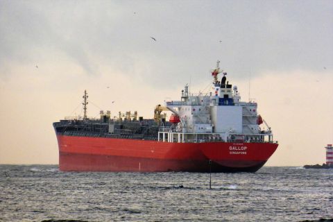 GALLOP in IJmuiden, 11 dec 2019