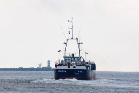 IBERICA HAV in IJmuiden, 13 dec 2019