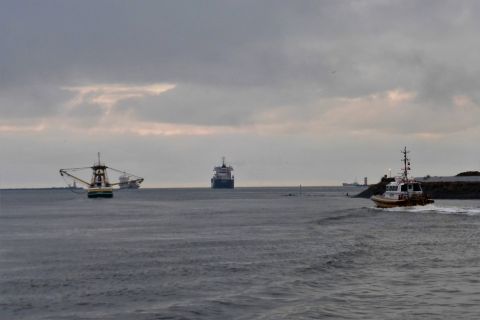 Pieren IJmuiden 13-12-19 in IJmuiden, 14 dec 2019