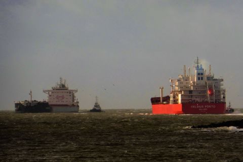 Pieren IJmuiden 29-01-20 in IJmuiden, 30 jan 2020