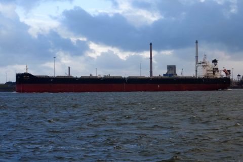 YANGZE 11 in IJmuiden, 4 feb 2020