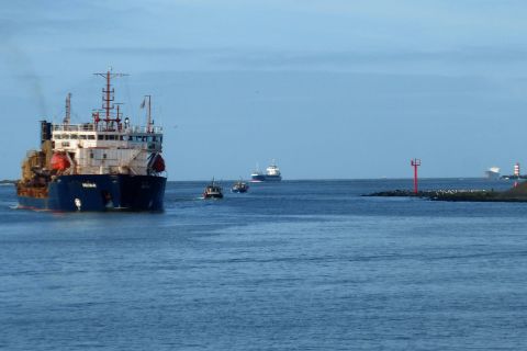 Pieren IJmuiden 05-02-20 in IJmuiden, 5 feb 2020