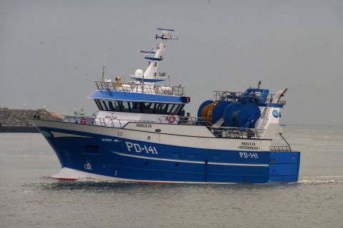 PD-141 NEELTJE