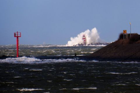Pieren IJmuiden 11-02-20 in IJmuiden, 11 feb 2020