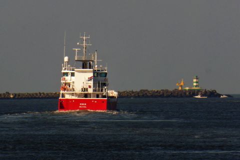 Robijn in IJmuiden, 7 mrt 2020