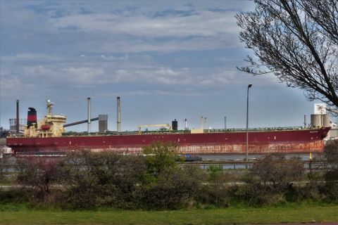 POLAR COD in IJmuiden, 18 apr 2020
