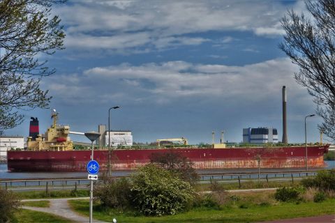 POLAR COD in IJmuiden, 18 apr 2020