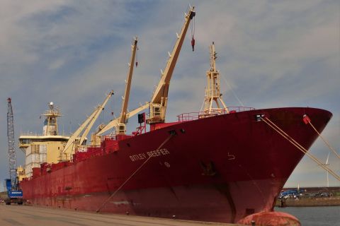 DITLEV REEFER in IJmuiden, 3 mei 2020