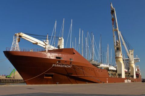 PARKGRACHT in IJmuiden, 7 mei 2020