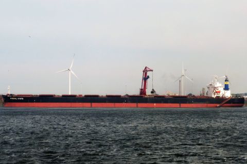 MINERAL KYOTO in IJmuiden, 10 mei 2020