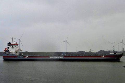 LINGEBORG in IJmuiden, 8 jul 2020